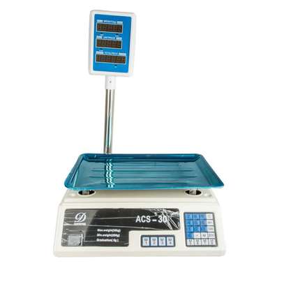 ACS 30Kg Digital Price Computing Scale With Pole image 1