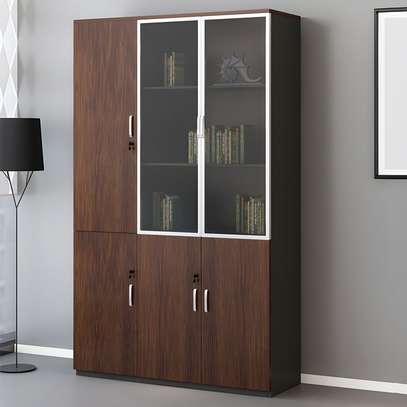 2 Door Executive Cabinet image 6