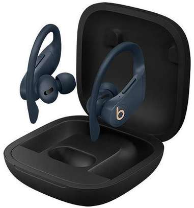 Beats by Dre Powerbeats Pro True Wireless Earbuds image 7