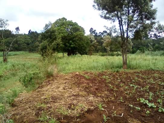 Land at Limuru image 4