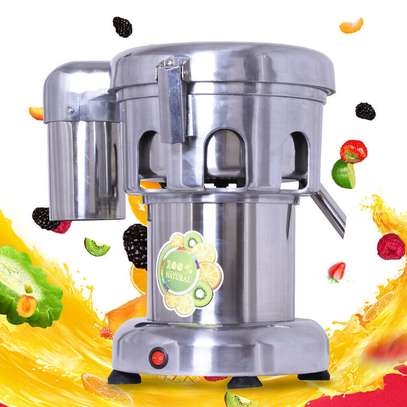Professional Commercial Juice Extractor Vegetable Juicer image 3