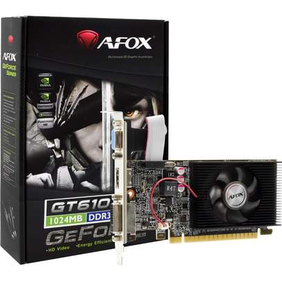 AFOX Geforce GT610 1GB DDR3 64Bit image 1