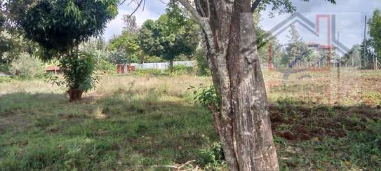 Prime ½acre,Clean title image 3