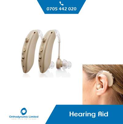 Programmable Hearing Aid image 1