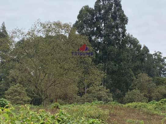 1 ac Residential Land in Kitisuru image 12