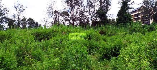 0.64 ac Residential Land in Thindigua image 2