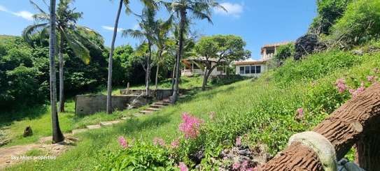 2.5 ac Land at Serena image 16