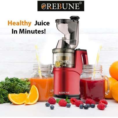 Rebune Heavy Commercial Slow Juicer Juice Extractor Machine image 1