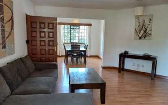 Furnished 3 bedroom apartment for rent in Spring Valley image 15