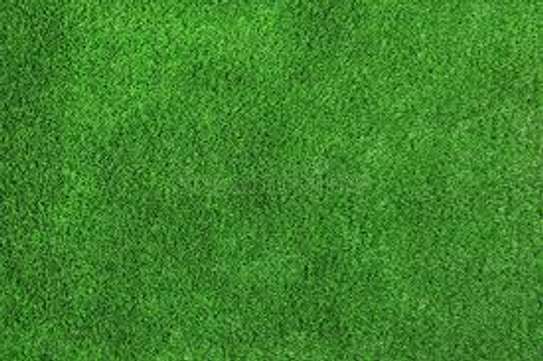 SYNTHETIC ARTIFICIAL GRASS CARPET image 1