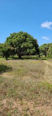 6 ac Land in Kikambala image 3