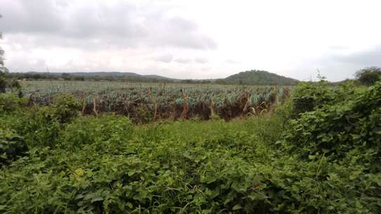 120 Acres With Water in Kimana Loitoktok Is For Sale image 4