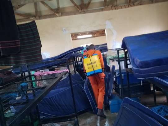 Bed Bugs Fumigation services in Schools image 1