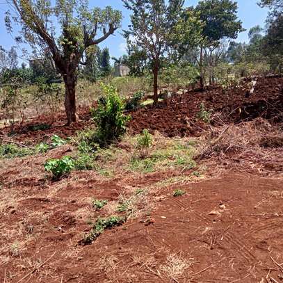 40X80ft PLOTS FOR SALE AT KENOL TOWN JUST BEHIND MAGUNAS image 7