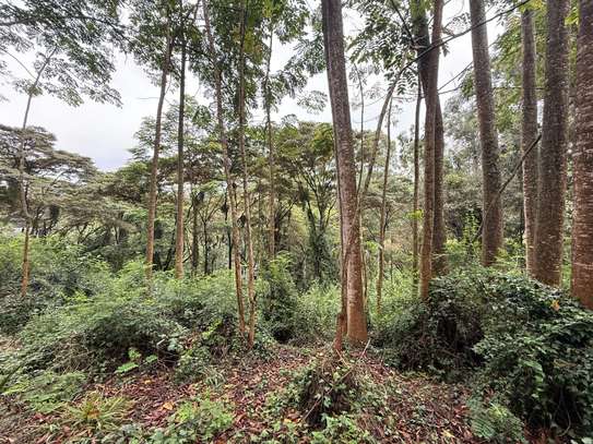 5 ac Land in Kitisuru image 6