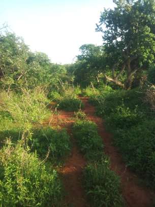 600 Acres For Sale in Mutha Region of Kitui County image 4