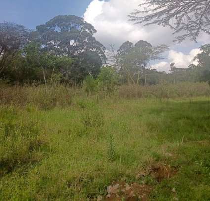 0.5 ac Residential Land in Karen image 3