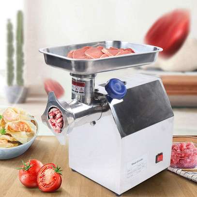 Electric Meat Mincer & Sausage Maker Table Type Electric image 1