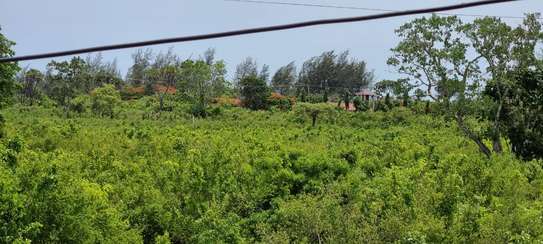 residential land for sale in Diani image 19