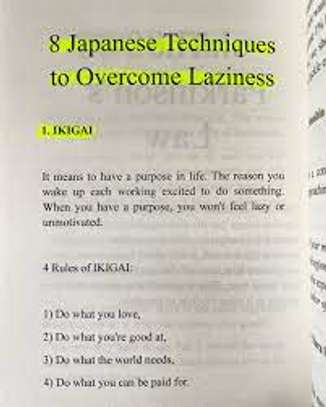 The Art of Laziness image 5