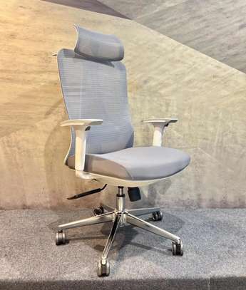 High Back Chair: Orthopedic Executive Chair image 1