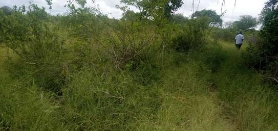 100 Acres Available for Sale in Mutomo Kitui County image 2