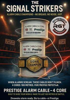 INDOOR ALARM AND NETWORKING (CAT 6 CU& CCA) CABLES FOR SALE image 2