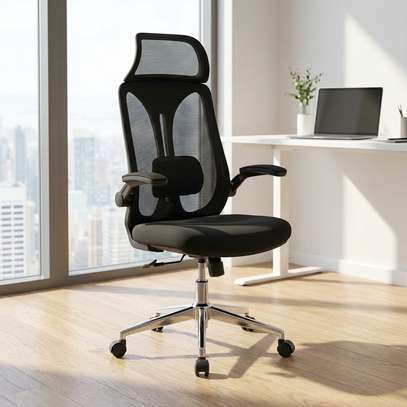 Office Chairs : Ergonomic Executive Office Chair image 5