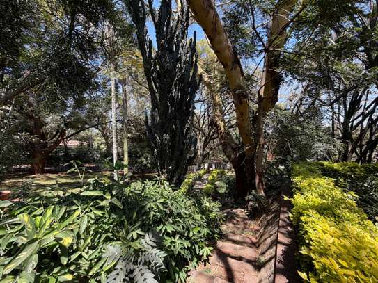 5 Bed House with En Suite at Kanjata Road image 6