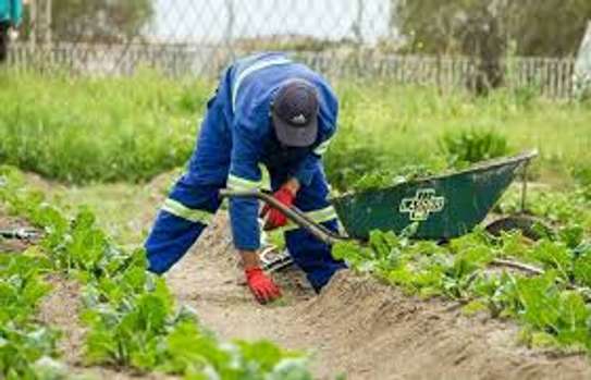 Bestcare Labour Hire & Skilled Trade Services in Mombasa image 6