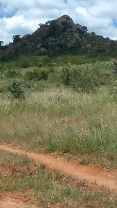 Prime and affordable plots for sale image 4