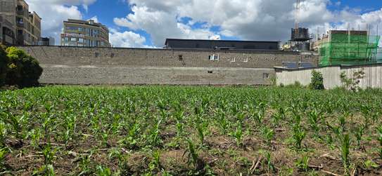 PRIME HALF ACRE LAND FOR SALE IN RUIRU KAMAKIS image 3