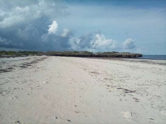 50-Acre Beach Plot For Sale in Bofa/Kilifi image 3