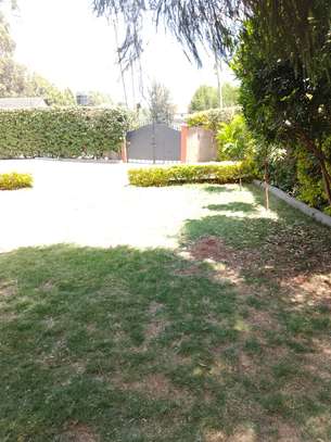 Beautiful 3 BR Houses plus Sqs in Ngong image 12