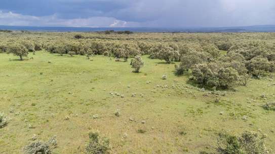 Land in Naivasha image 5