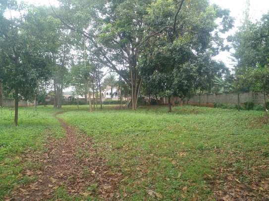 Land in Muthaiga image 8