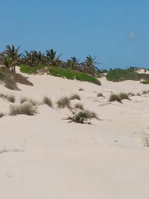 12 Acres Front Row Beach Is Available For Sale In Malindi image 3