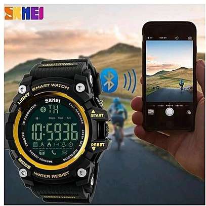 Skmei 1227 online