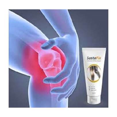 SustaFix Relieve For Arthritis, Arthrosis And Osteochondrosis Conditions image 1