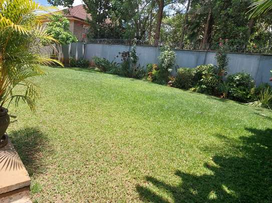 4 Bed House with En Suite at Roysambu image 10