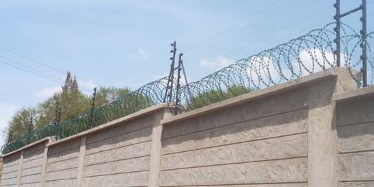 Electric Fence supplies  installation in Kenya image 4