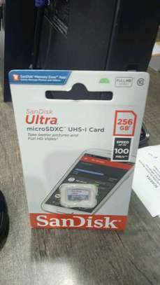 SanDisk Ultra 256gb micro SDXC UHS image 1