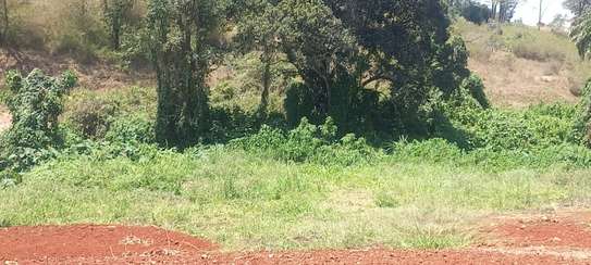 0.5 ac Residential Land at Muthithi image 2