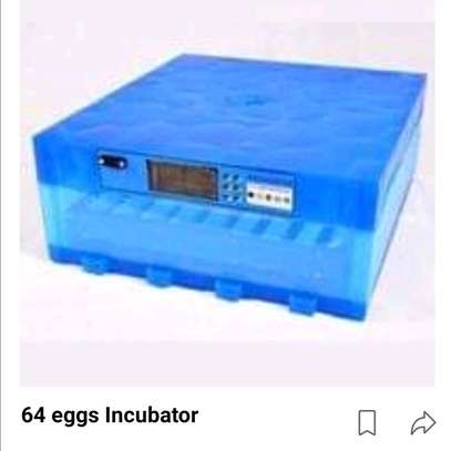 Automatic Eggs Incubators image 1