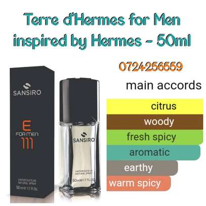 E111 - Sansiro Terre d'Hermes Perfume for Men 50ml image 1