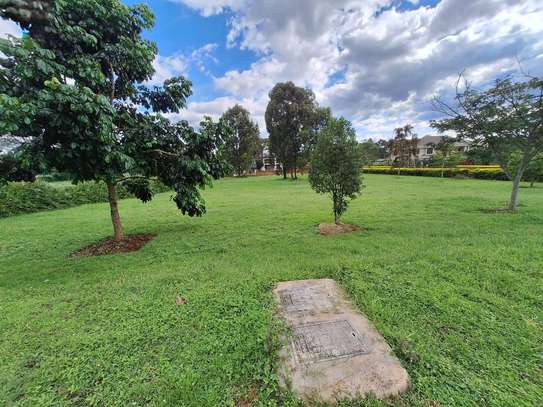 1 ac Residential Land at Rhino Park Road image 5