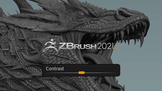 Pixologic Zbrush 2021 image 1