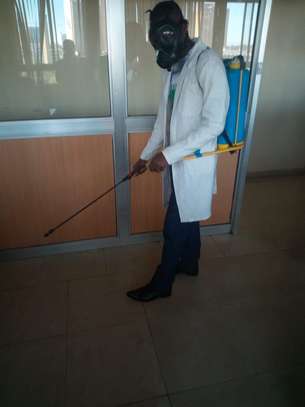 BEDBUGS CONTROL SERVICES IN NYAYO ESTATE |COCKROACHES CONTROL SERVICES IN NYAYO ESTATE. image 1