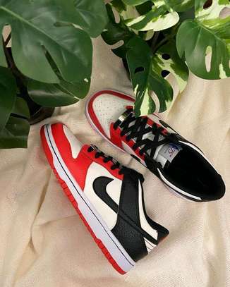 Nike SB low cut
37-45
 with extra laces image 5