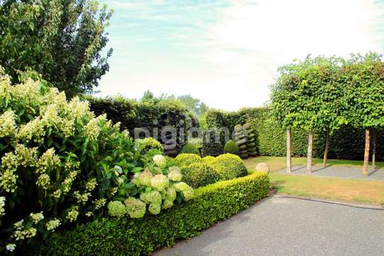 Hire Gardeners in Nairobi | Professional, Vetted & Reliable image 7